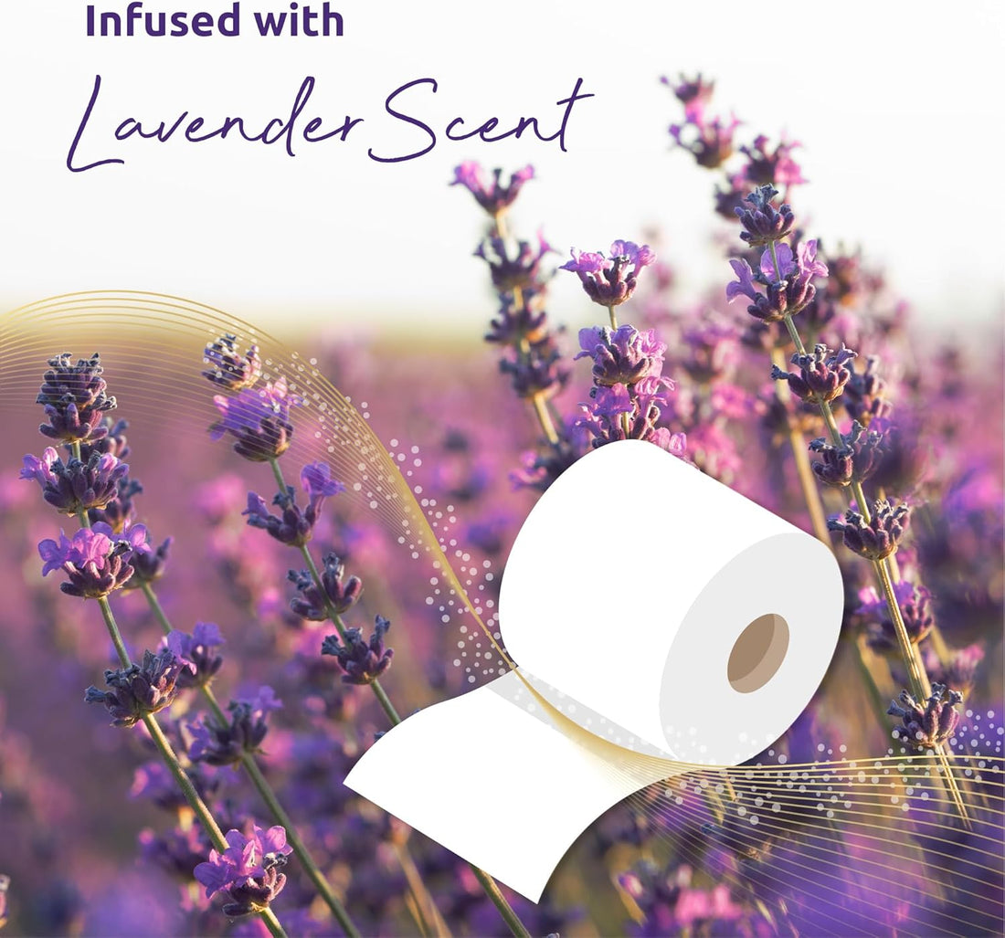 Phoenix Toilet Rolls – 60 Pack | 3 Ply Lavender Scented Toilet Paper | Bulk Buy Bathroom Tissue