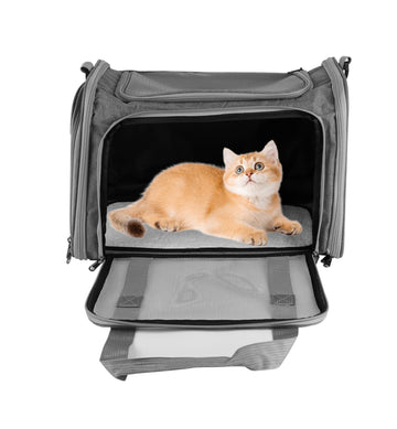 Large Pet Carrier Bag Soft Fabric Fold Portable Travel Puppy Cat Bag